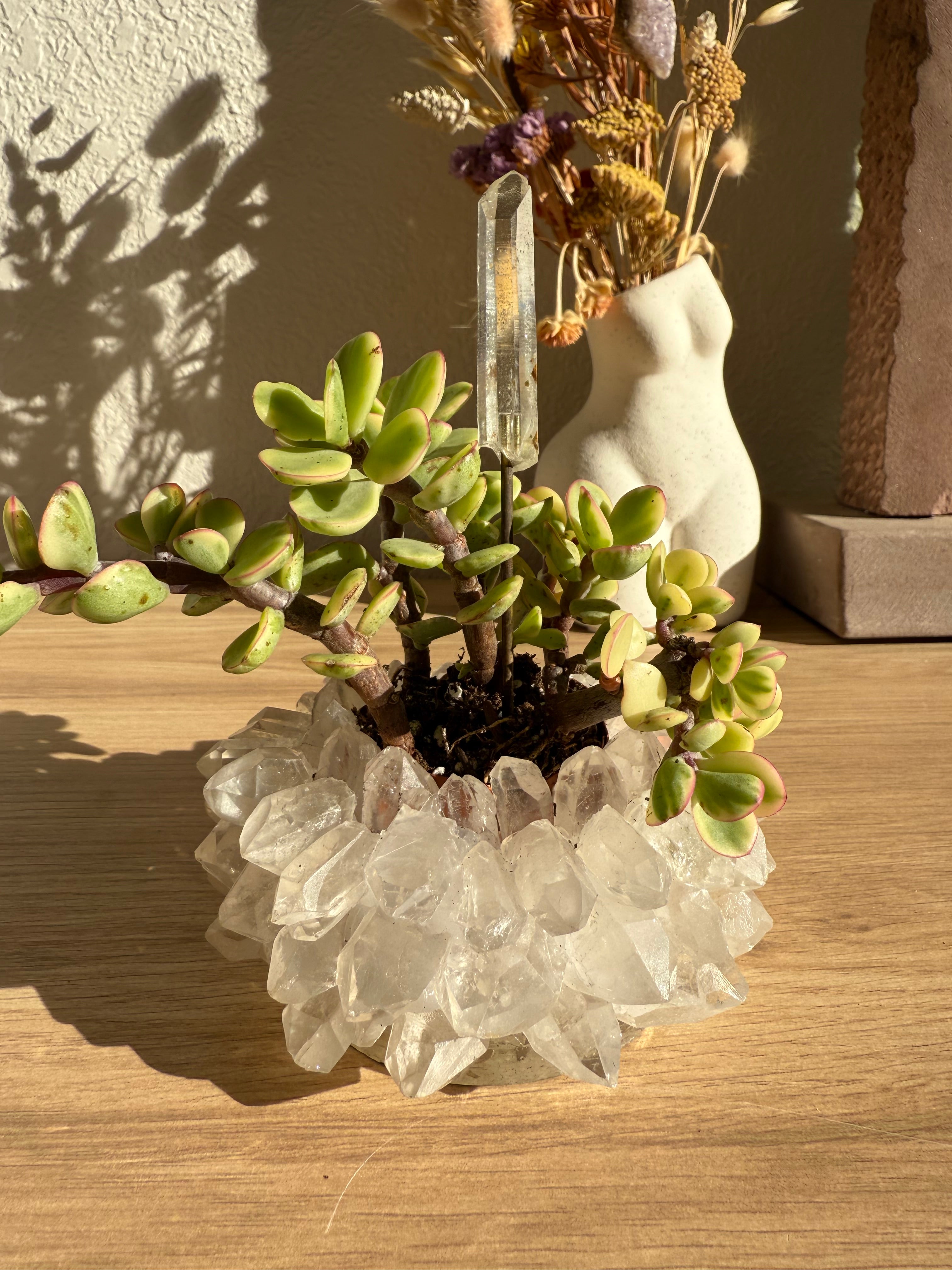 crystal succulent planter Clear Quartz Crystal Planter Pot
