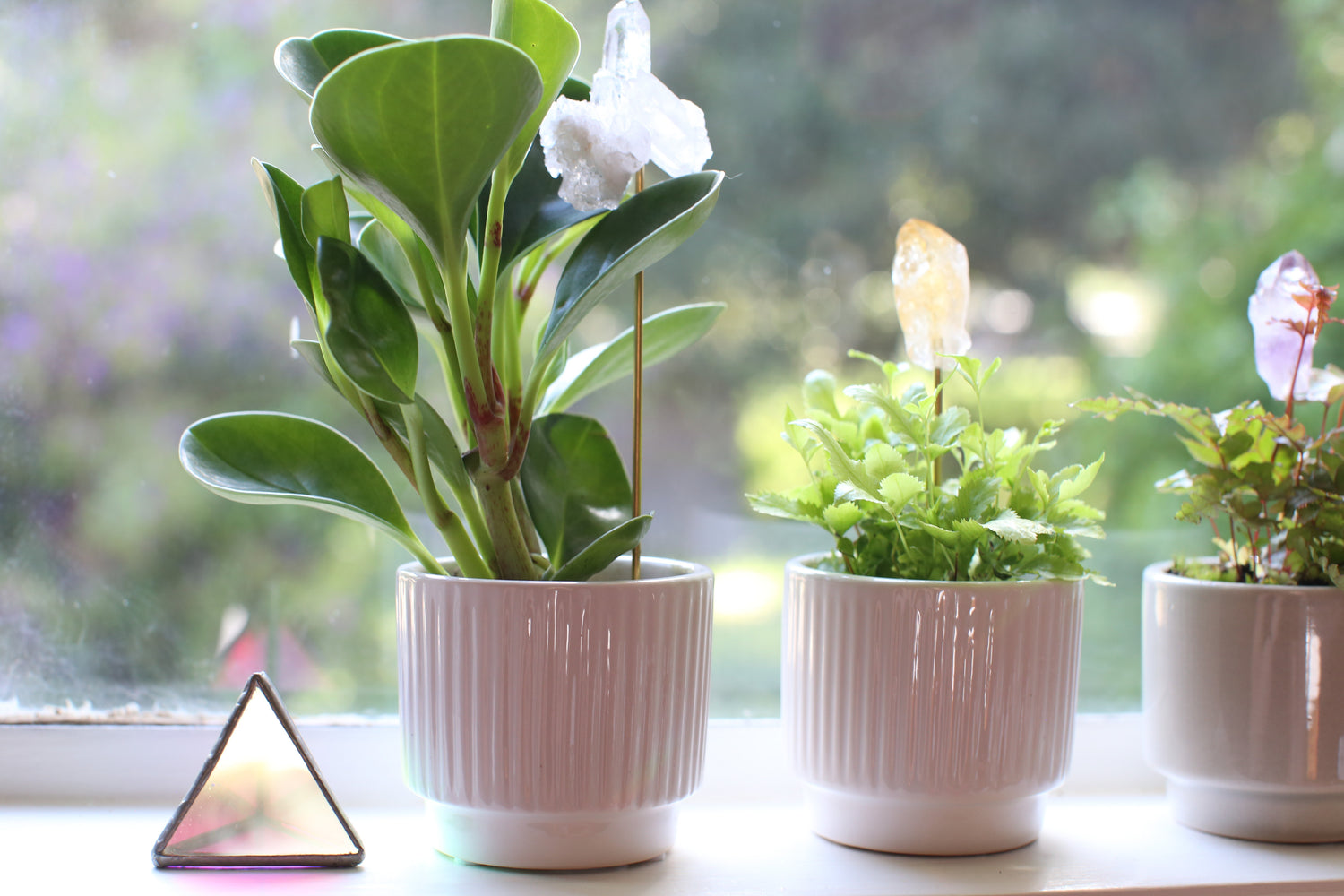 MINI PLANT CRYSTALS