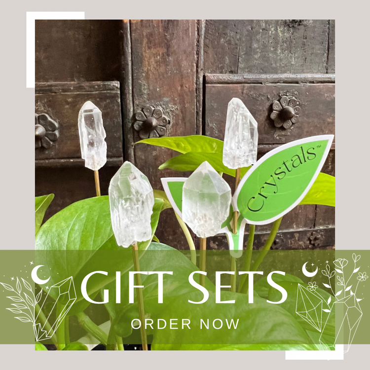 GIFT SETS & GRID KITS