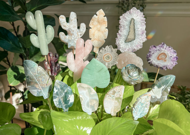 FLOWER, PLANT & LEAF PLANT CRYSTALS