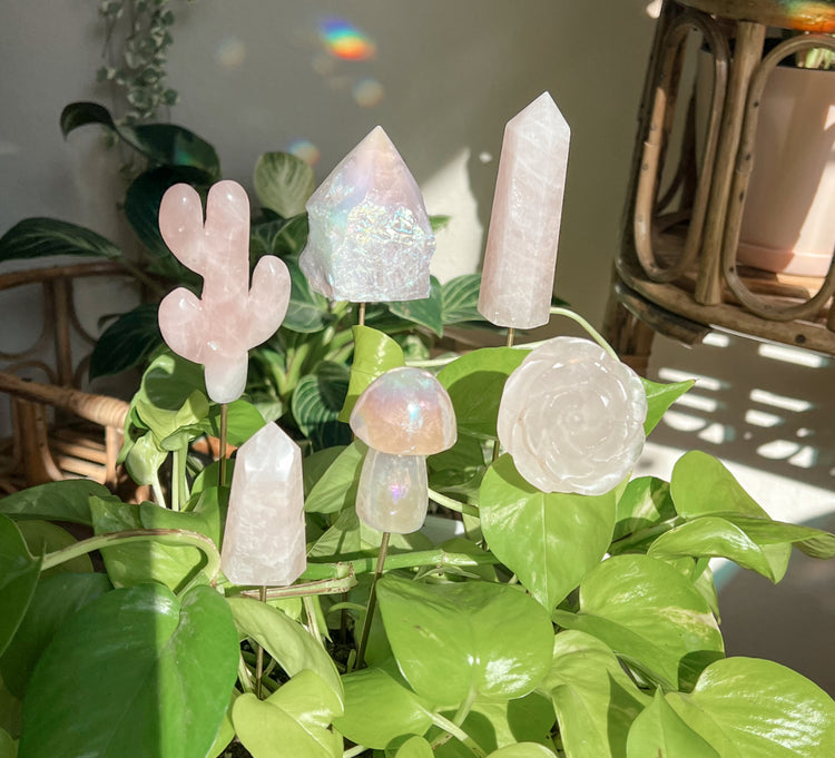 PINK PLANT CRYSTALS