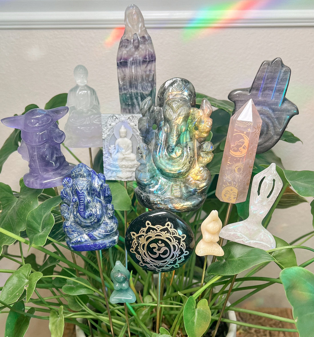 SPIRITUAL PLANT CRYSTALS