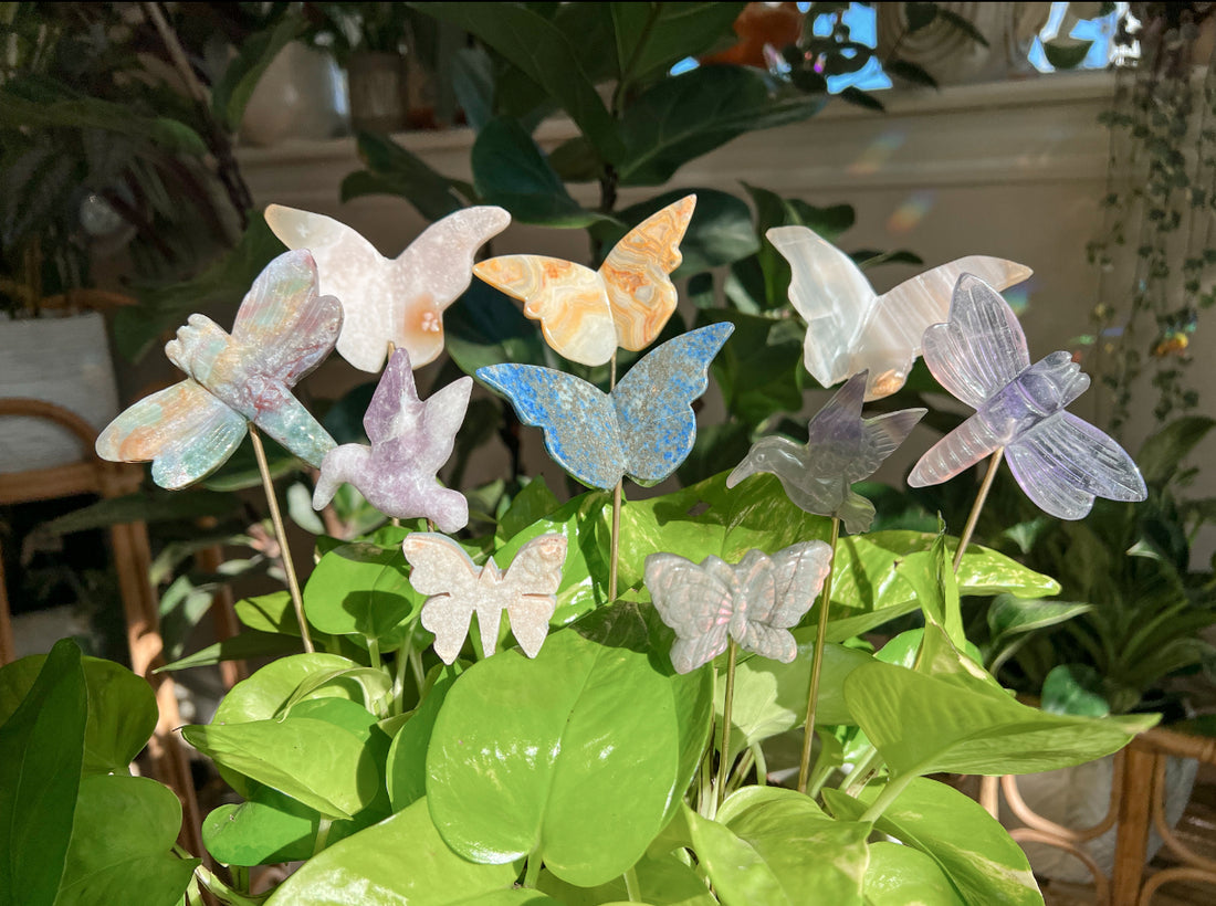 BUTTERFLY, HUMMINGBIRDS & DRAGONFLY PLANT CRYSTALS