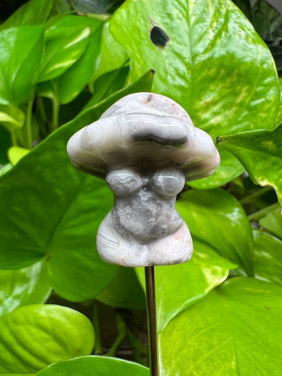 White Banded Agate Mushroom Goddess Plant Crystal