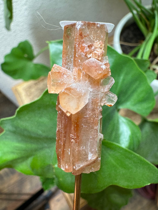 8/4 Aragonite