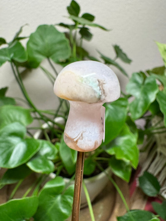 6/9 Mini Mushroom