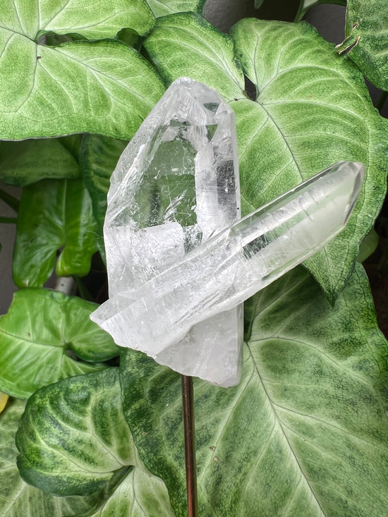 Clear Quartz Plant Crystal