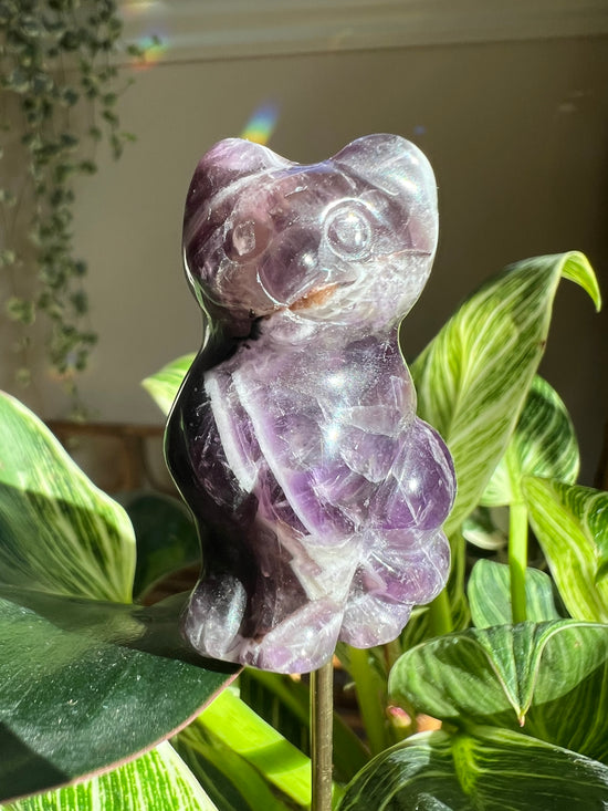 Cat Amethyst Plant Crystal