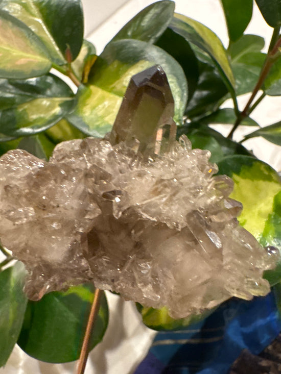 4/13 Smokey Lemurian Cluster