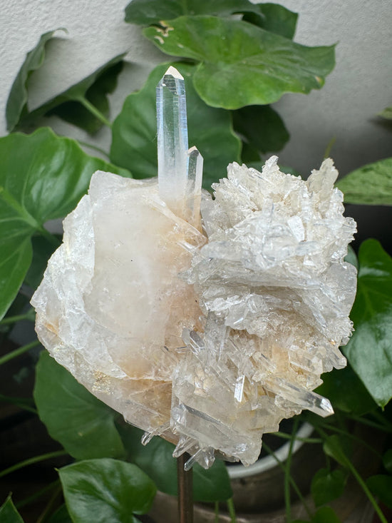 Colombian Quartz