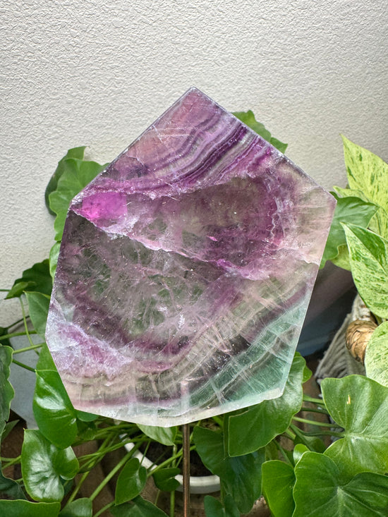 5/16 Large Fluorite Slab