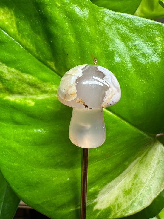 A* Flower Agate Mini Mushroom Plant Crystal