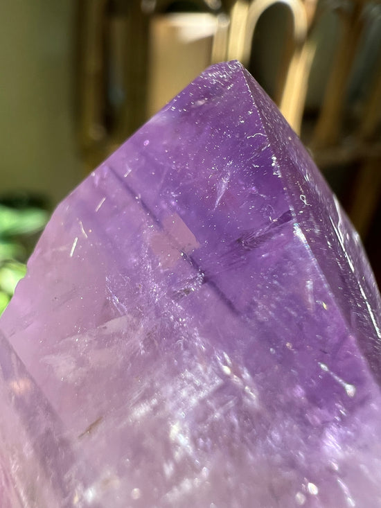 Glow Queen Large Amethyst Plant Crystal