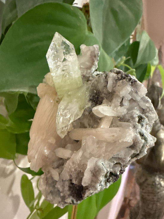 MG Green and peach Apophyllite