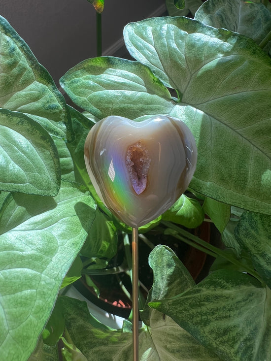 9/3 Heart Agate Plant Crystal