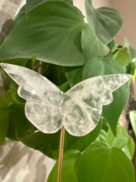 MG Rose Quartz Butterfly