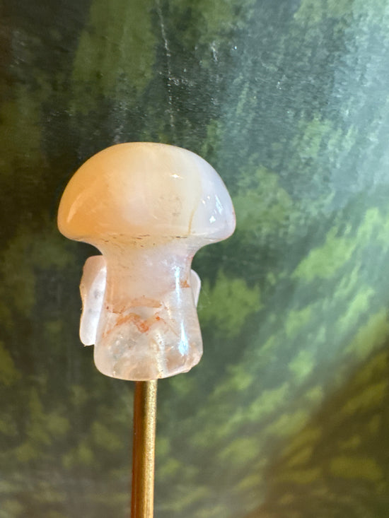 4/25 Mini Tangerine Quartz Mushy
