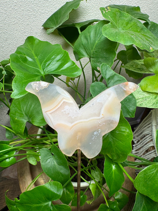 Sprite Flower Agate Butterfly