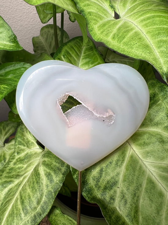 8/27 Heart Agate Drusy Plant Crystal