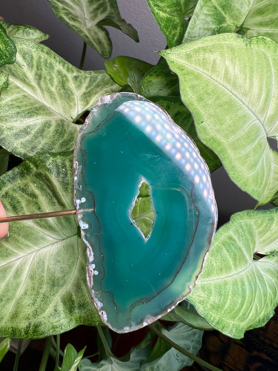 8/23 Green Agate