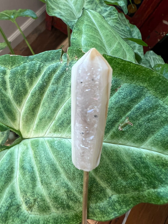 9/3 Agate Drusy Point Plant Crystal