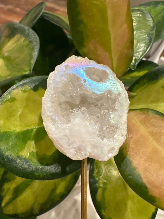 4/11 Mini Aura