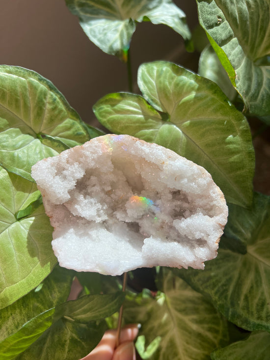 9/3 Moroccan Geode Plant Crystal