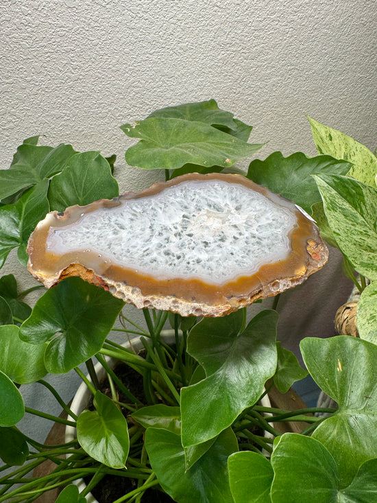 Nostradamus Agate Altar Base