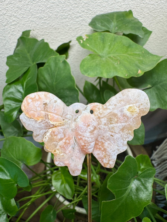 5/16 Flower Agate Butterfly