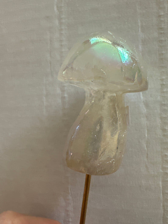 8/1 Angel Aura Mushroom