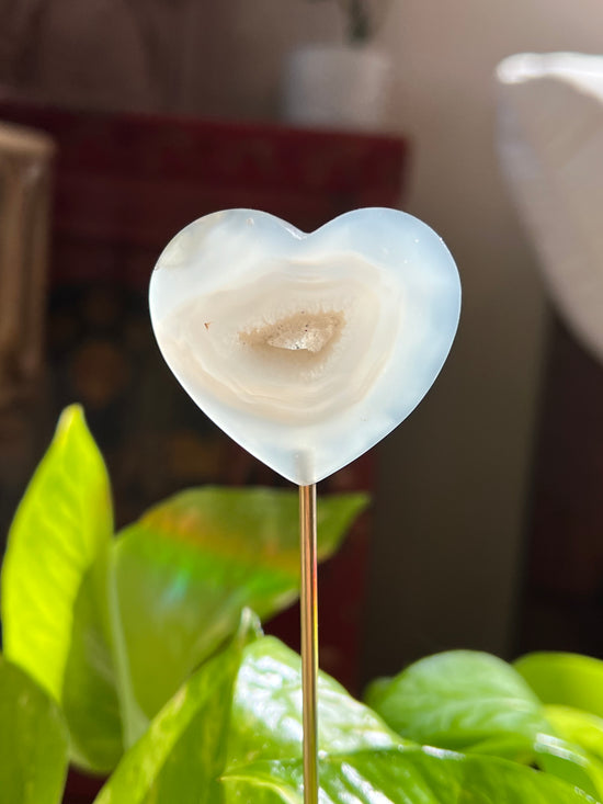 Heart Agate Plant Crystal