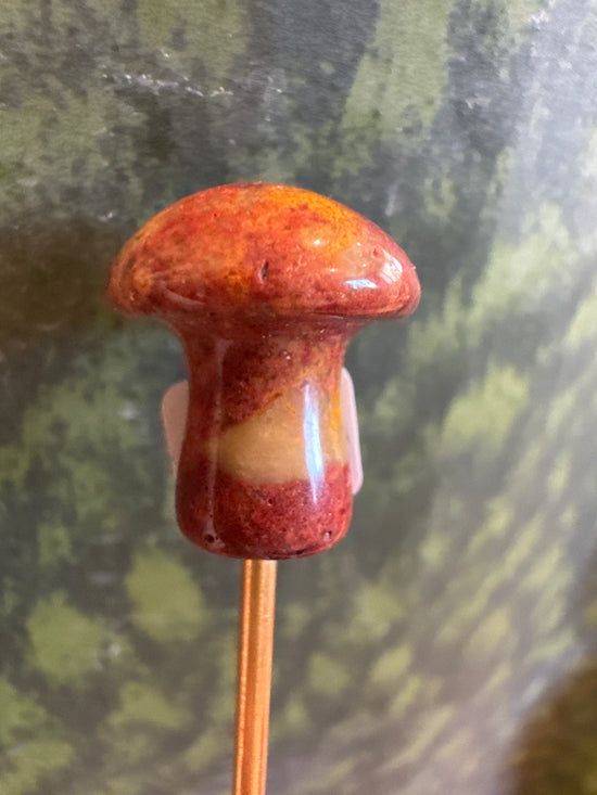 2/28 Mini Mushy