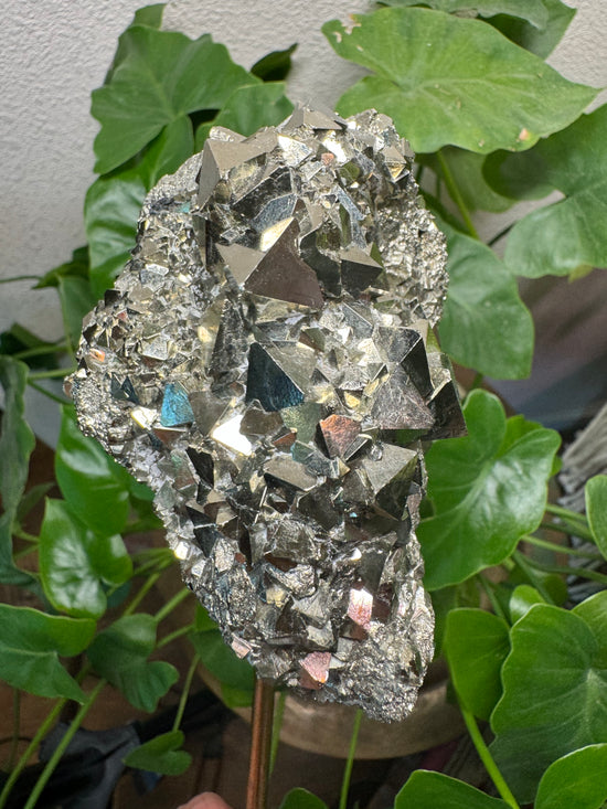 5/16 Large Pyrite