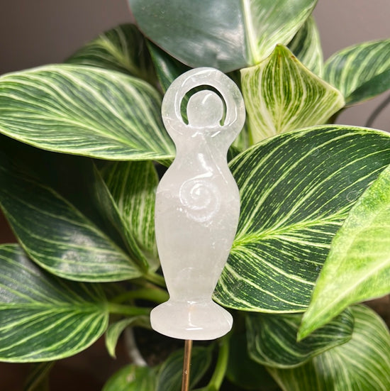 Goddess Quartz Plant Crystal