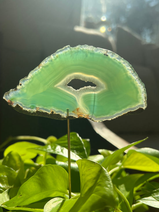 Luscious Green Agate Plant Crystal