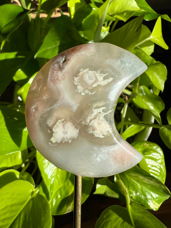 Secret Garden Flower Agate Moon Plant Crystal