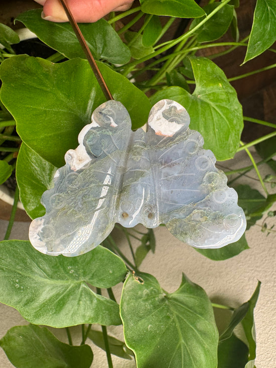 Moss Agate Butterfly