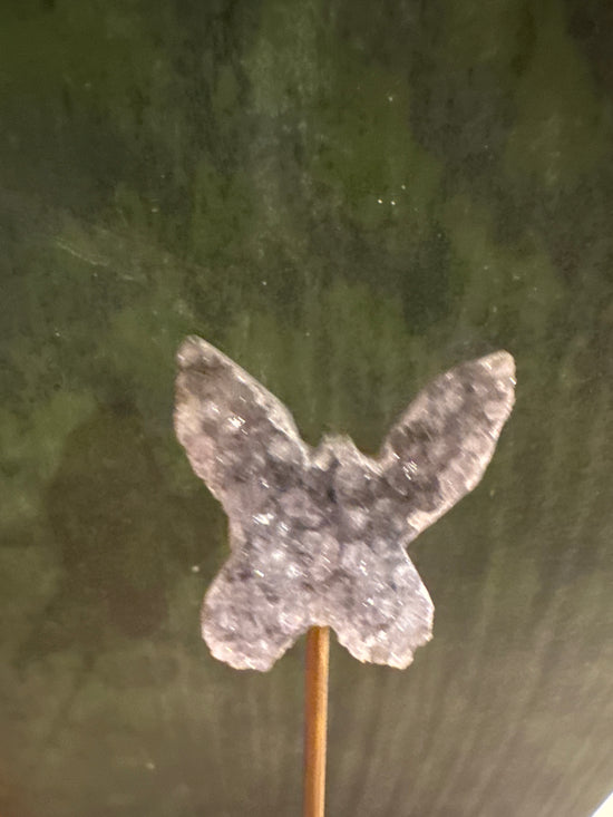 3/9 Mini Butterfly