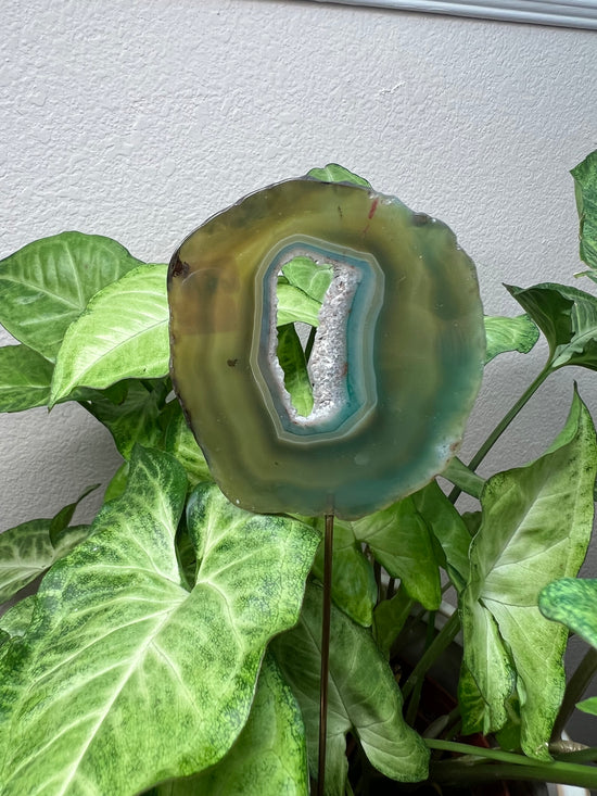 8/23 Green Agate Plant Crystal