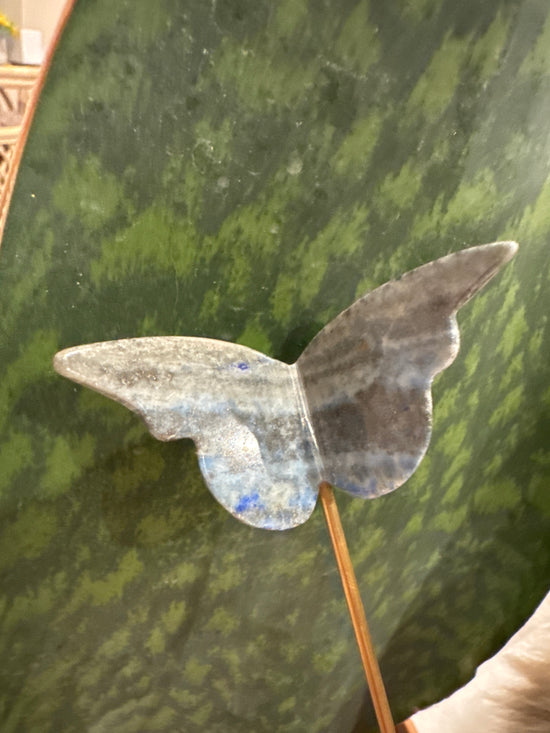 4/20 sodalite Butterfly