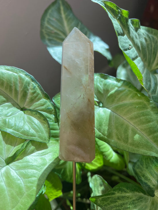 9/3 Gold Rutilated Smokey Plant Crystal