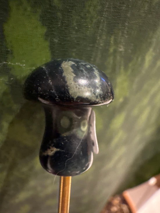 3/28 Mini Ocean Jasper mushy
