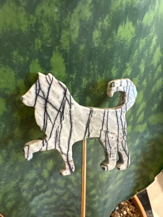 3/16 dog