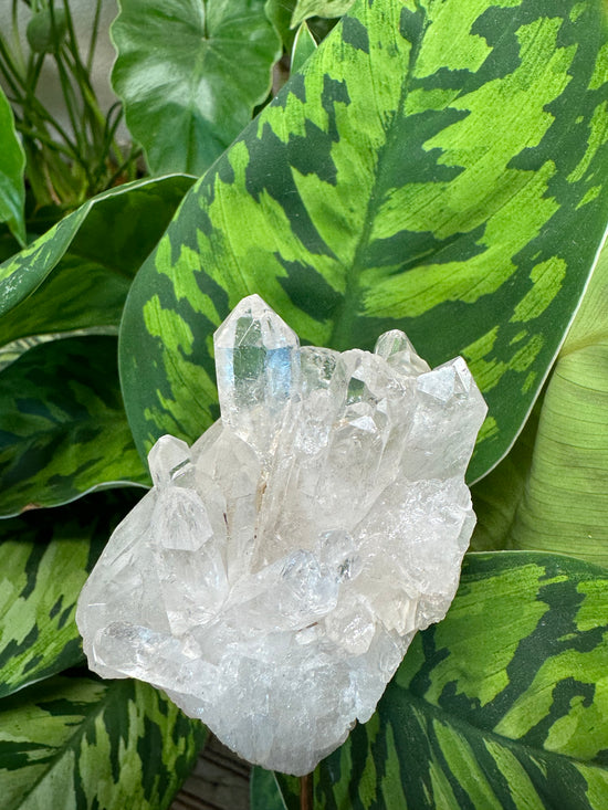 6/2 Quartz Cluster