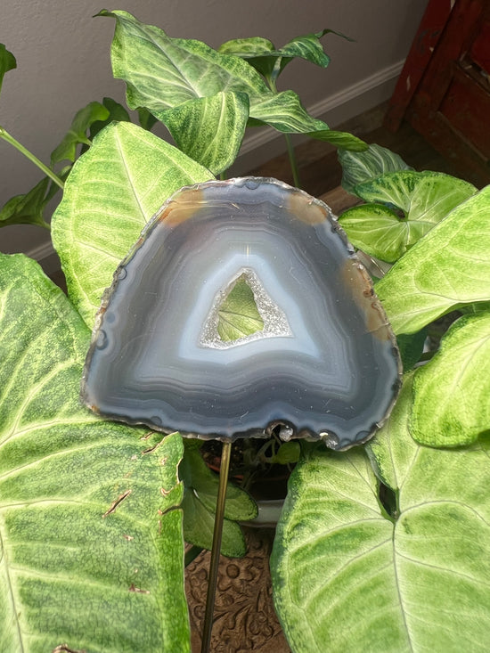 9/17 Agate Plant Crystal