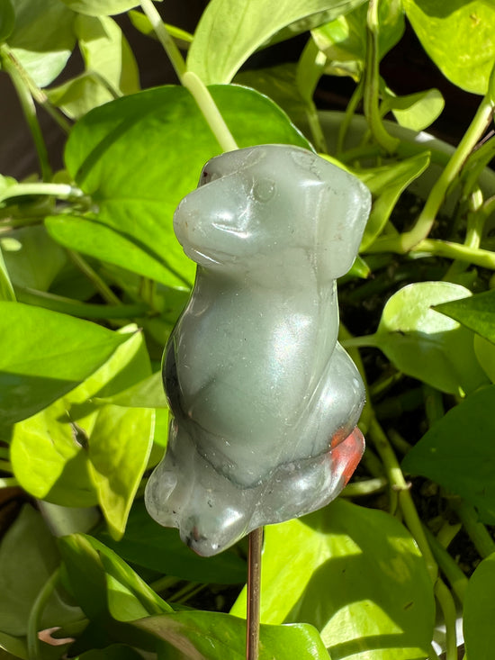 Forest the Green Aventurine Dog Plant Crystal