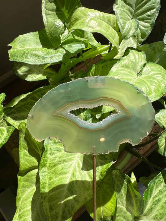 8/17 Green Agate Plant Crystal