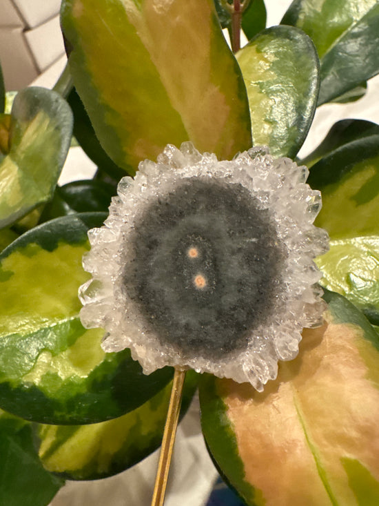 4/13 Flower stalactite