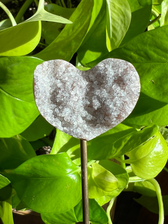 Diamond Dust Druzy Heart Plant Crystal