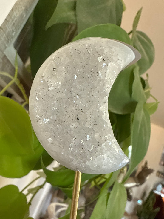 6/1 Moon Quartz drusy on agate